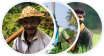 Usergroup Icons, User group icons for Kshema stakeholders
