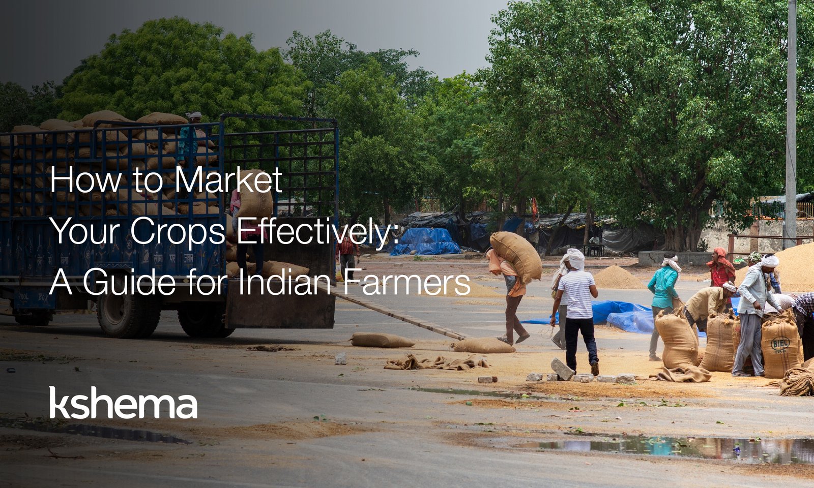 Market Crops, crop marketing, agritech strategies, online seed selling, Indian agriculture, farmer income, rural marketing, agriculture e-commerce, farming business, agricultural products