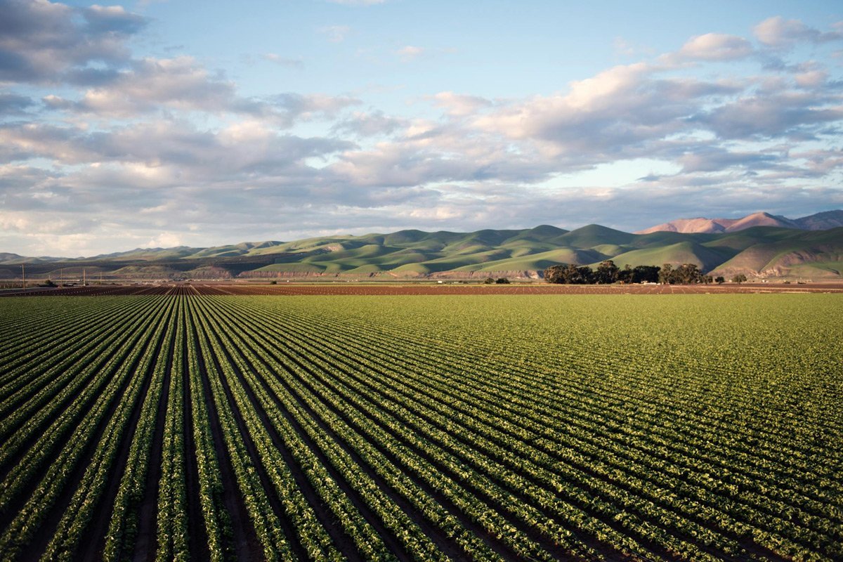 Resilient small farm protected by weather-based crop insurance in rural India, crop insurance company, resilient farming, weather-based protection, farm insurance India, rural agriculture, digital crop coverage