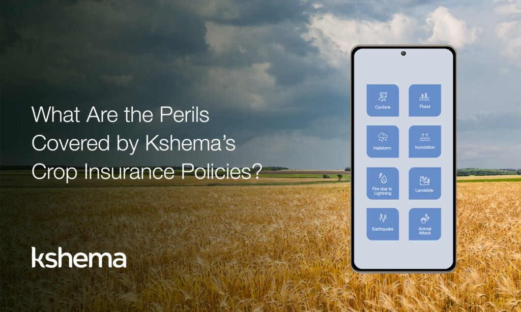 Crop insurance Policies, crop insurance company, crop insurance, crop insurance in India, Kshema, insurance policies, crop insurance plans, Kshema Plans