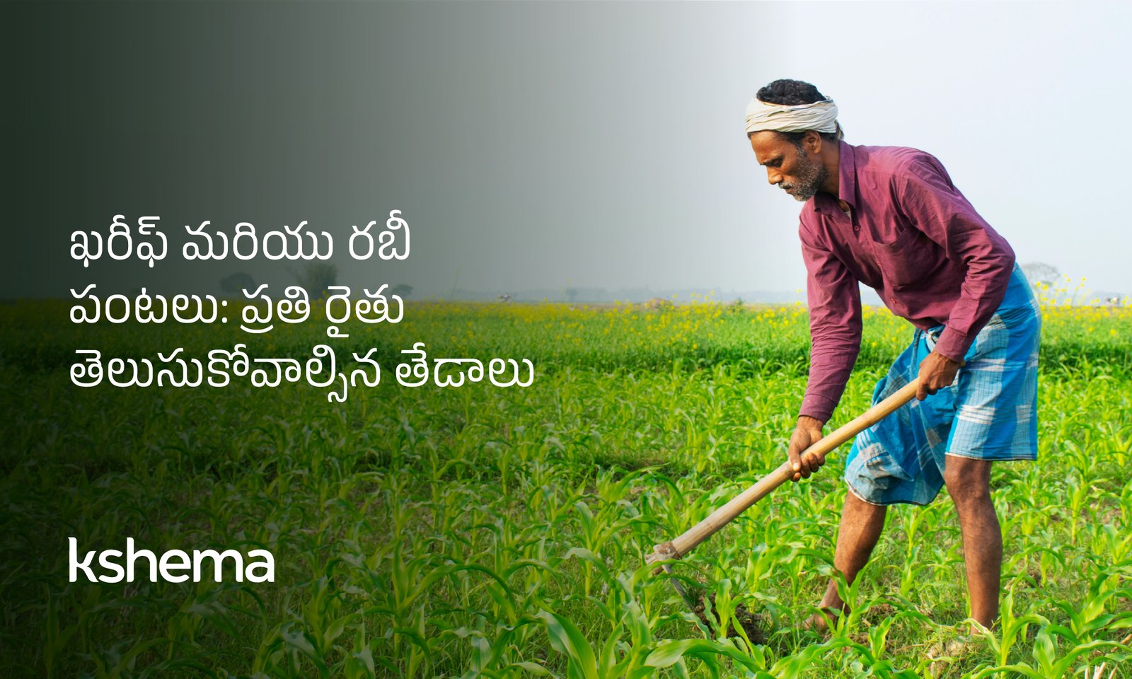 ఖరీఫ్ మరియు రబీ పంటలు, రైతు మార్గదర్శకం, వ్యవసాయ సీజన్లు, పంట బీమా, నీటి అవసరాలు, తెగుళ్లు నివారణ, మార్కెట్ ధరలు, నిల్వ నిర్వహణ, విత్తన సమయం, క్షేమా సుక్రితి