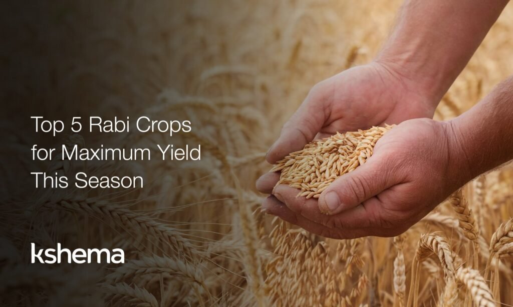 Rabi crops, best Rabi crops, winter farming India, high yield crops, MSP 2025, wheat cultivation, mustard farming, lentil benefits, chickpea farming, barley production