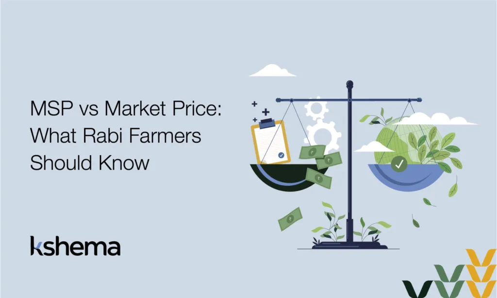 rabi msp vs market price comparison for wheat, mustard, and pulses