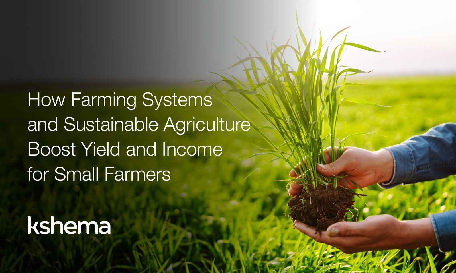Farming System and Sustainable Agriculture, Small farmer using sustainable agriculture farming practices like crop rotation and integrated farming system to boost yield and income.