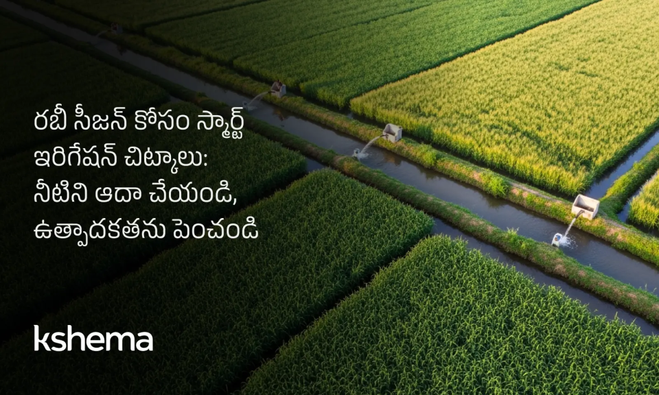 స్మార్ట్ ఇరిగేషన్ చిట్కాలు ,రబీ సీజన్లో స్మార్ట్ ఇరిగేషన్ వ్యవస్థతో పంటలకు నీరు అందిస్తున్న రైతు